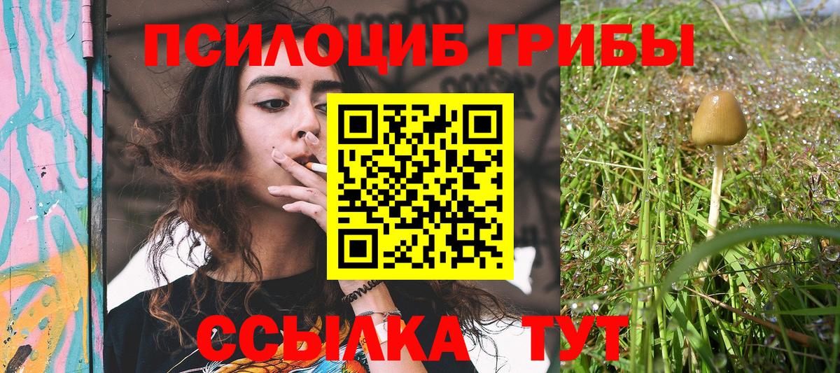 Большой Камень  Галлюциногенные грибы мицелий  Галлюциногенные грибы GOLDEN TEACHER  Вход с VPN 